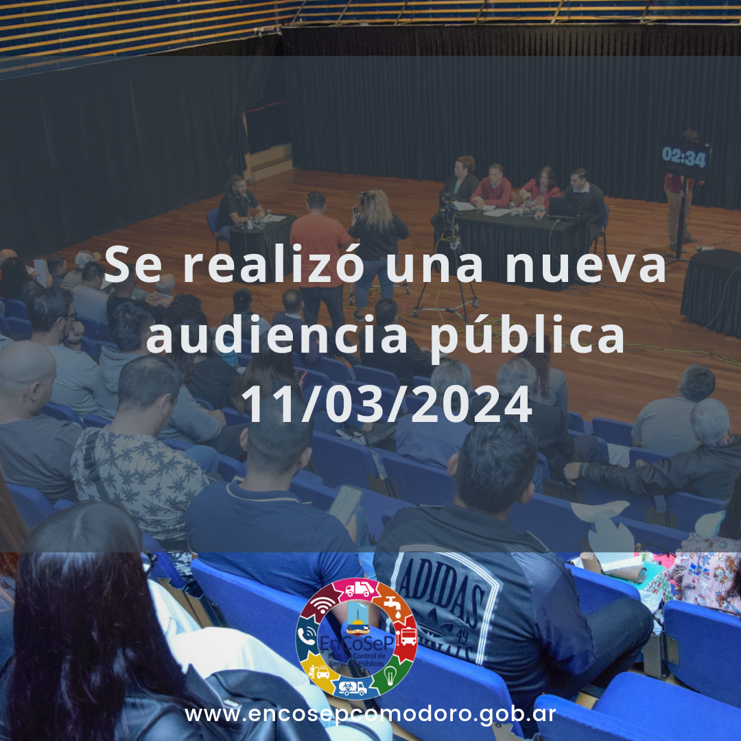 Se realizó una nueva audiencia pública temática