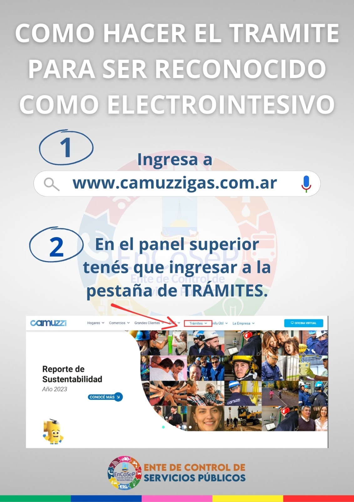 Galería de imágenes: ¿Cómo registrarse como usuario electrointensivo?